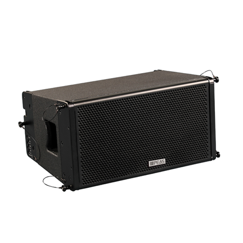 8 Year Exporter Wall Speaker System - Discountable price 12″ linear subwoofer (passive/active with processor) – Q&S