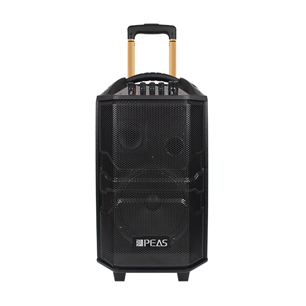 Best-Selling Handy Waterproof Megaphone 25w - PS-1229 Outdoor 12” 100W Trolley Speaker  – Q&S