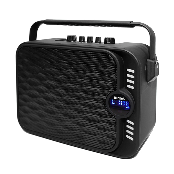 18 Years Factory Public Address 100v Amplifier - PS06-2 40W Portable Handheld Trolley Speaker – Q&S